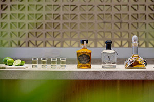 EL TEATRO TEQUILAS & MEZCALES at Finest Resorts Playa Mujeres